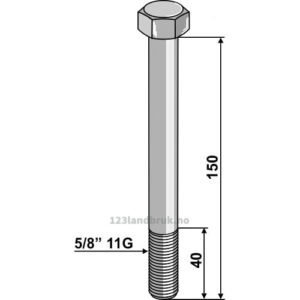 Bolt - 5/8'' 11G