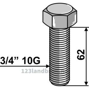 Bolt - 3/4'' 10Gx62mm