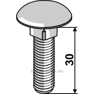 Låsebolt - 8.8 - M10x1,5x30mm - Galvanisert