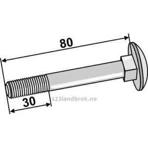 Låsebolt galvanisert - 8.8 - M10x1,5x80mm