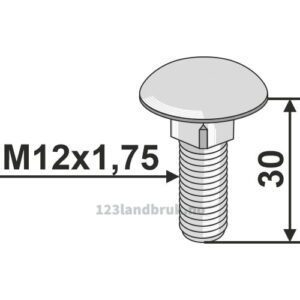 Låseboltolt - 10.9 - M12x1,25x30mm - Lemken