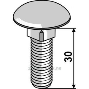 Låsebolt - 8.8 - M12x30mm - Galvanisert
