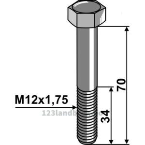 Kultivator Bolt - 8.8 - M12x1,75x70mm - Lemken