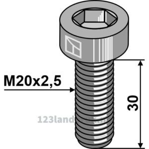 Umbraco - 10.9 - M20x2,5x30mm