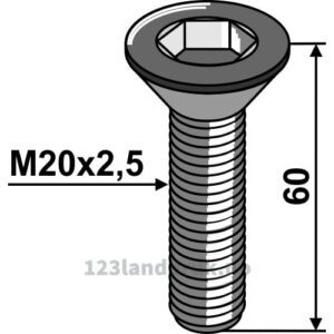 Umbraco - 10.9 - M20x2,5x60mm
