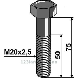 Bolt - 10.9 - M20x2,5x75mm - Lemken