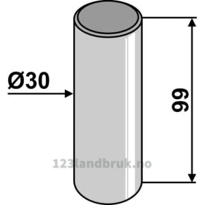 Bolt - Ø30x99mm - Case