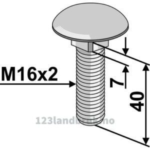 Låsebolt - 10.9 - M16x2x70mm