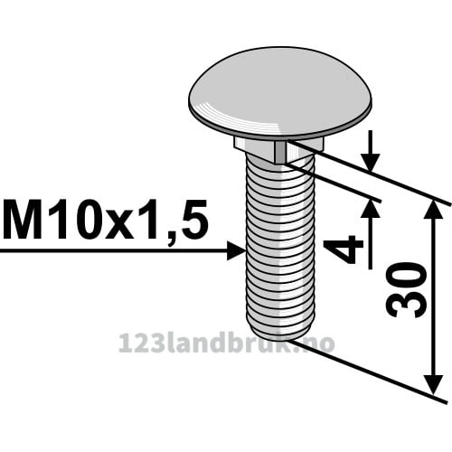 Låsebolt - 10.9 - M10x1,5x30mm