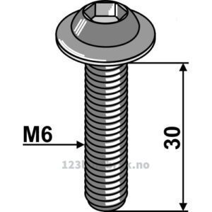 Umbraco - 10.9 - M6x30mm