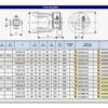 Bondioli & Pavesi SKYVESTIFT L=60,0mm G8,G9/S8,S9 13/8"