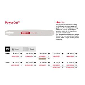 Oregon Sverd 3/8" - 1.6 mm - 72DL - 20" - D009 - PowerCut™ - 203RNDD009