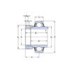 SKF YEL2062FSKF Y-lager med excenterring SKF YEL 206-2F 30x62x48,4/18 mm, Varenummer YEL2062FSKF