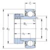 SKF YET206104SKF Y-lager med excenterring SKF YET 206x104 31,75x62x35,7/18 mm, Varenummer YET206104SKF